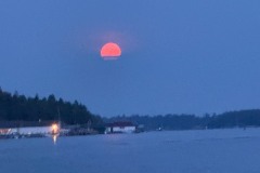 IMG_2431